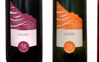 Millésime 2024 : L’excellence des vins du Lavaux par Jean-Marc Favez